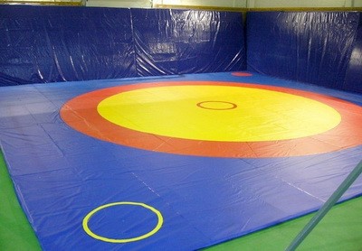 Inventar dlia borby Bortsovskii kover