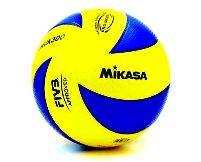 Miach dlia pionerbola