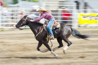 Reining 2