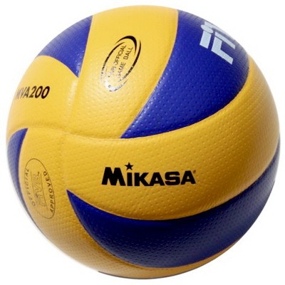 Voleibolnyi miach professionalnyi